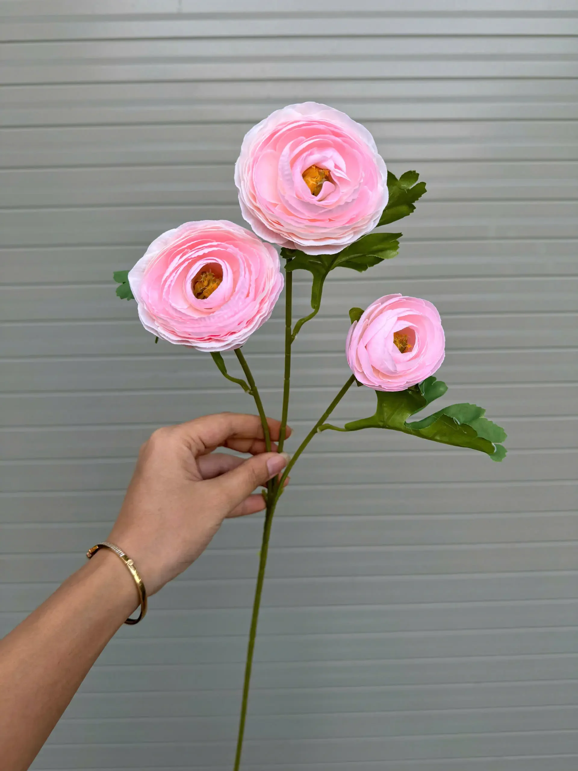 MAO LƯƠNG 3 BÔNG - Ảnh 7