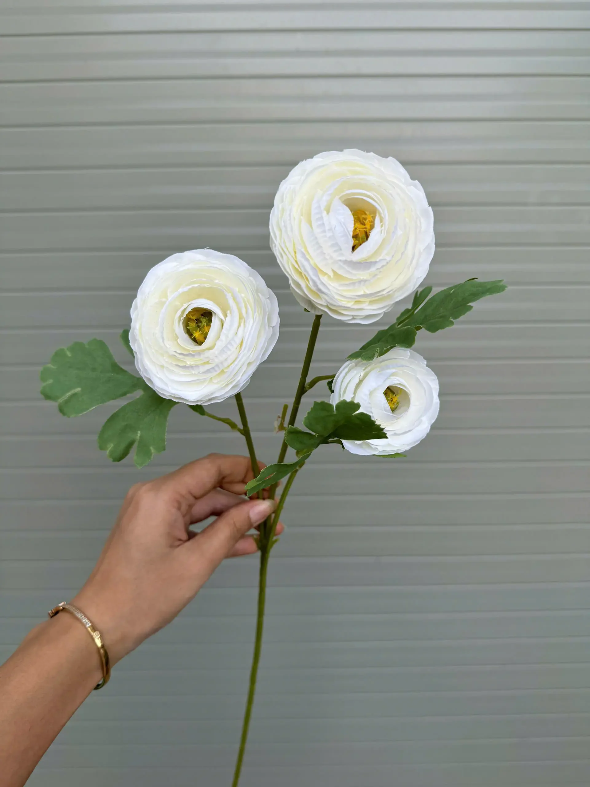 MAO LƯƠNG 3 BÔNG - Ảnh 9