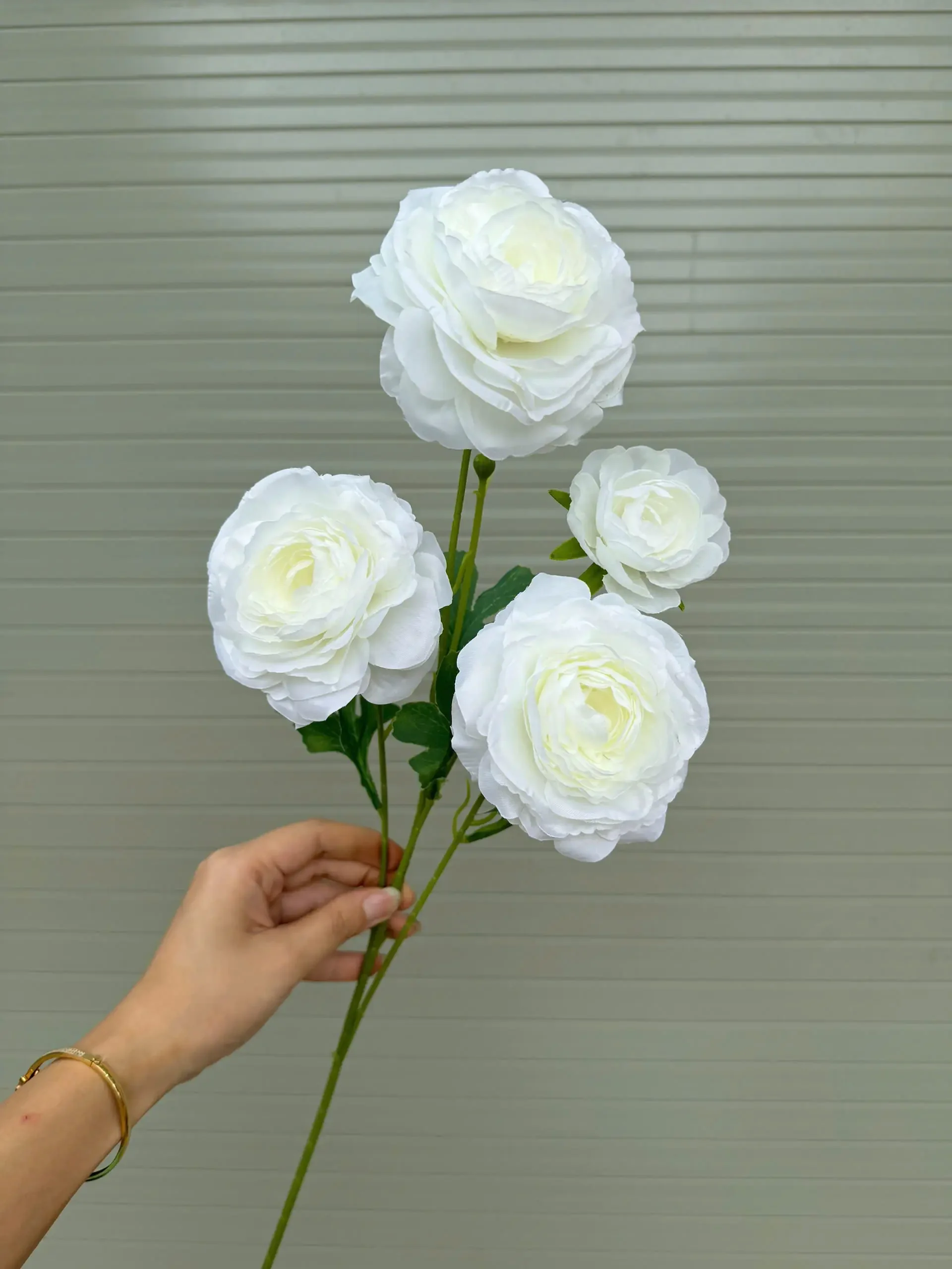 MAO LƯƠNG 4 BÔNG - Ảnh 10