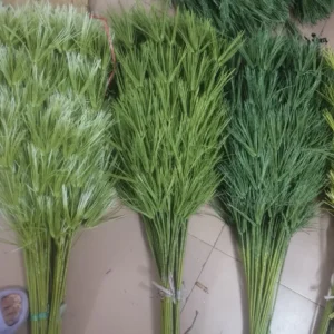 NGỌN TRE