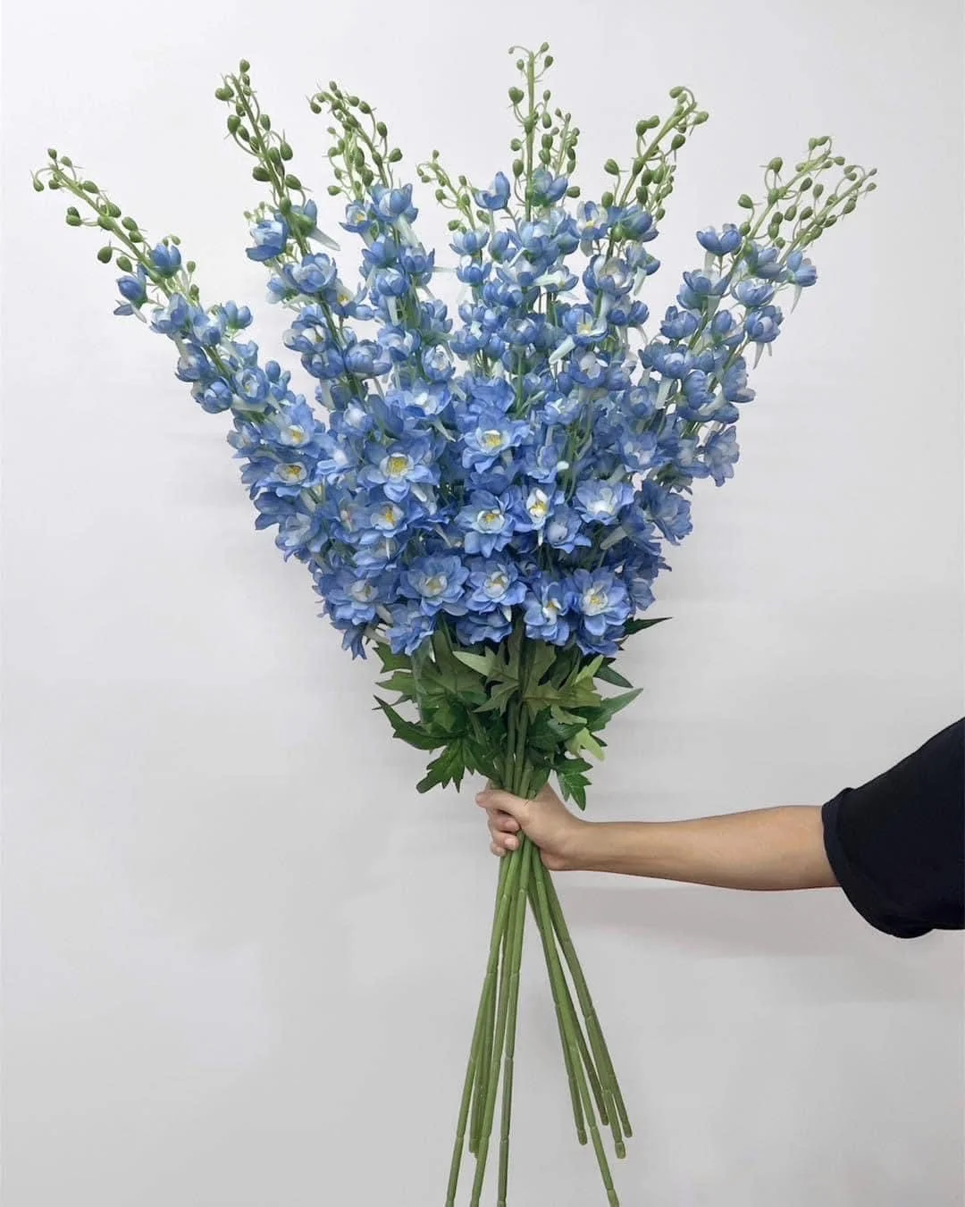 PHI YẾN VIP - Ảnh 8