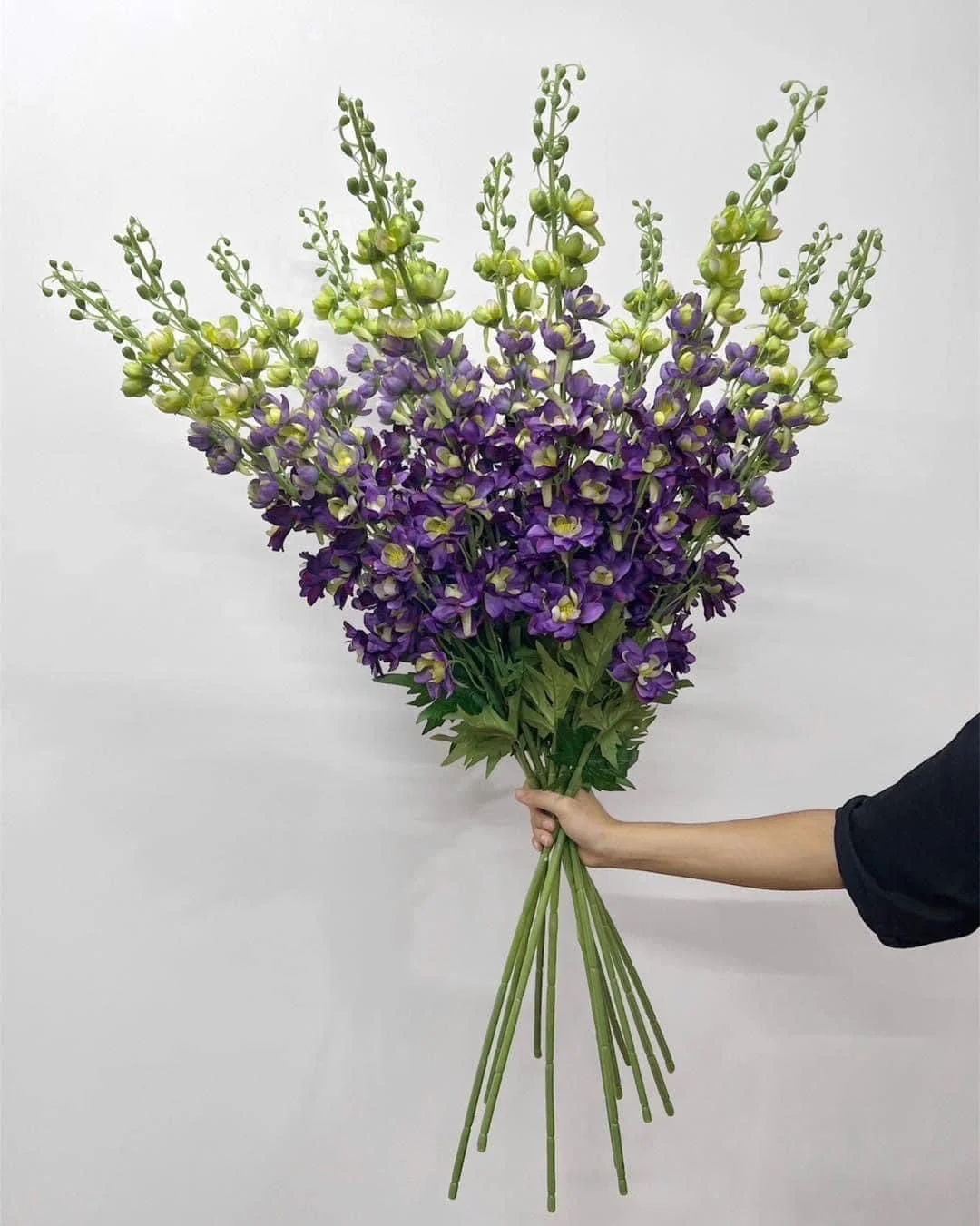 PHI YẾN VIP - Ảnh 2