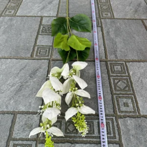 RỦ ĐÈN SEN