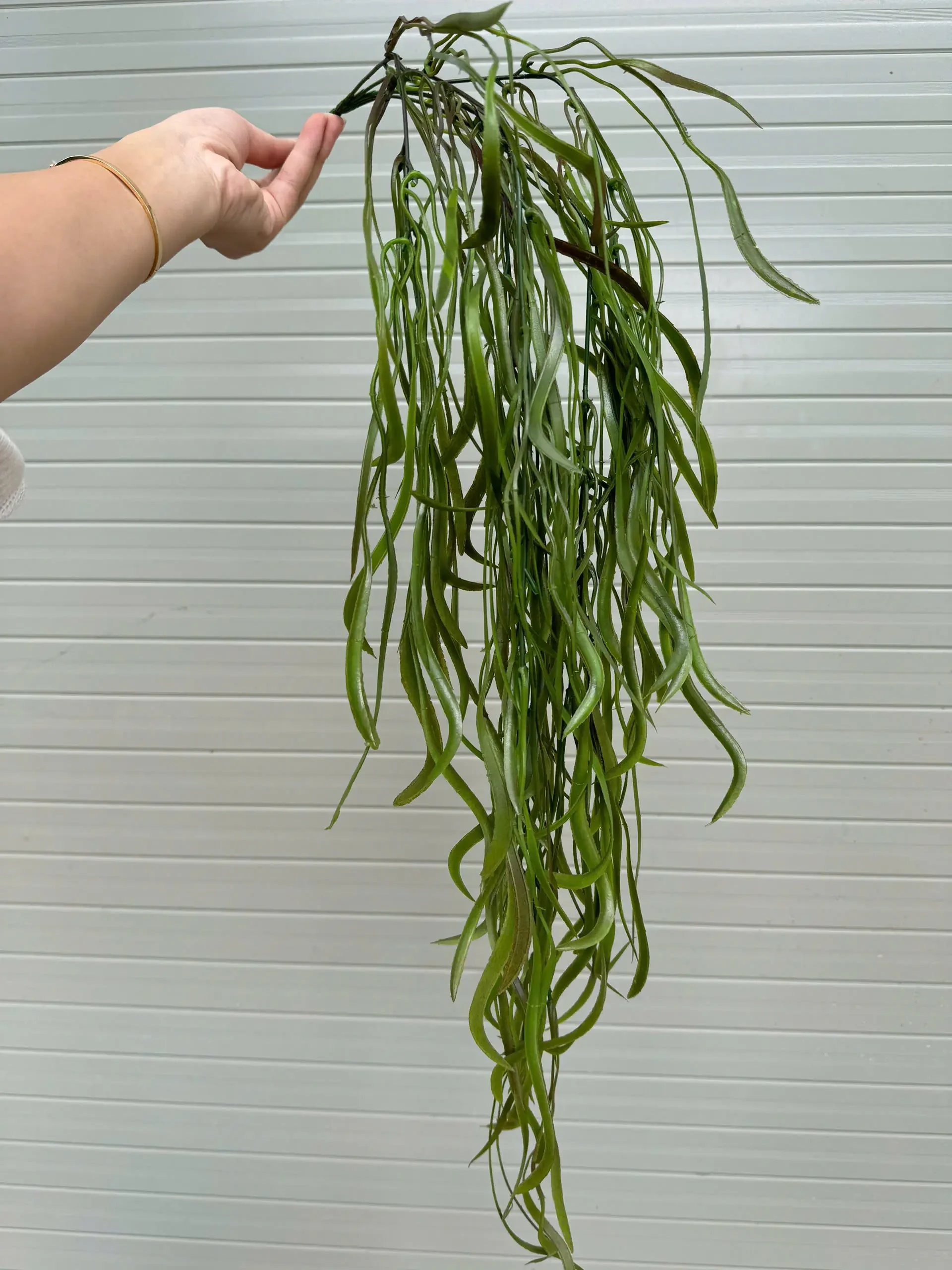 RỦ KEO NHẬP