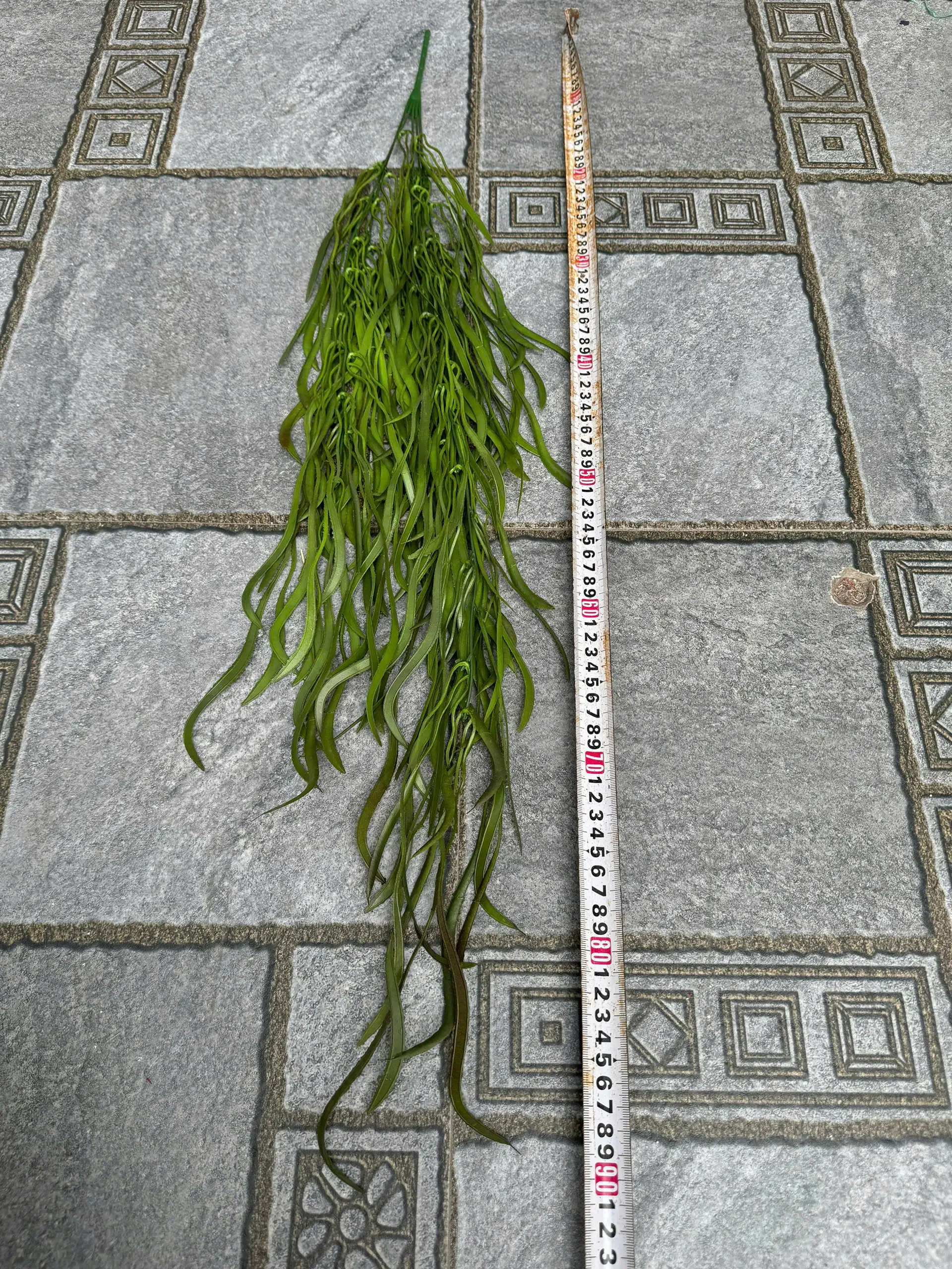 RỦ KEO NHẬP - Ảnh 2