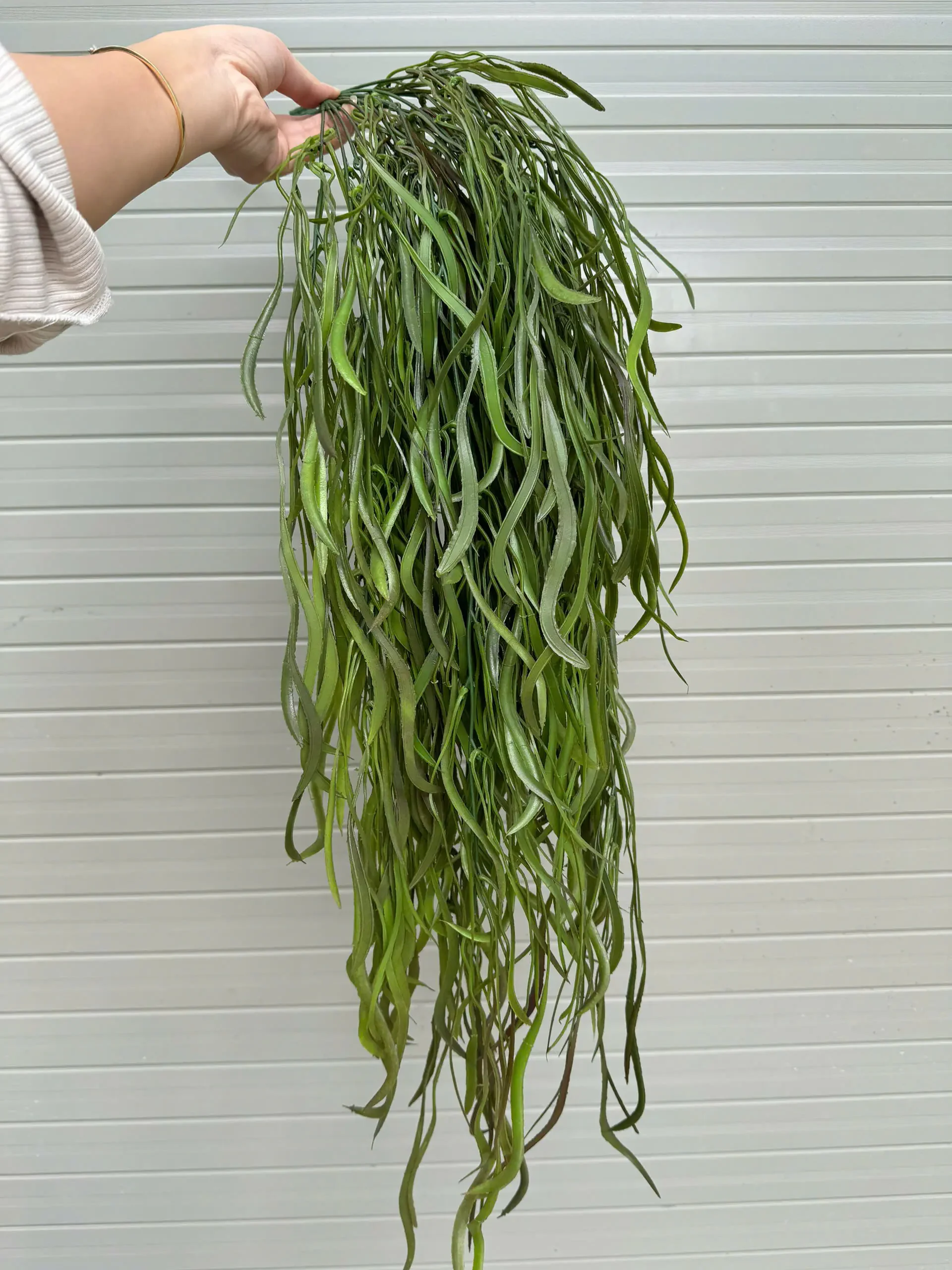 RỦ KEO NHẬP - Ảnh 9