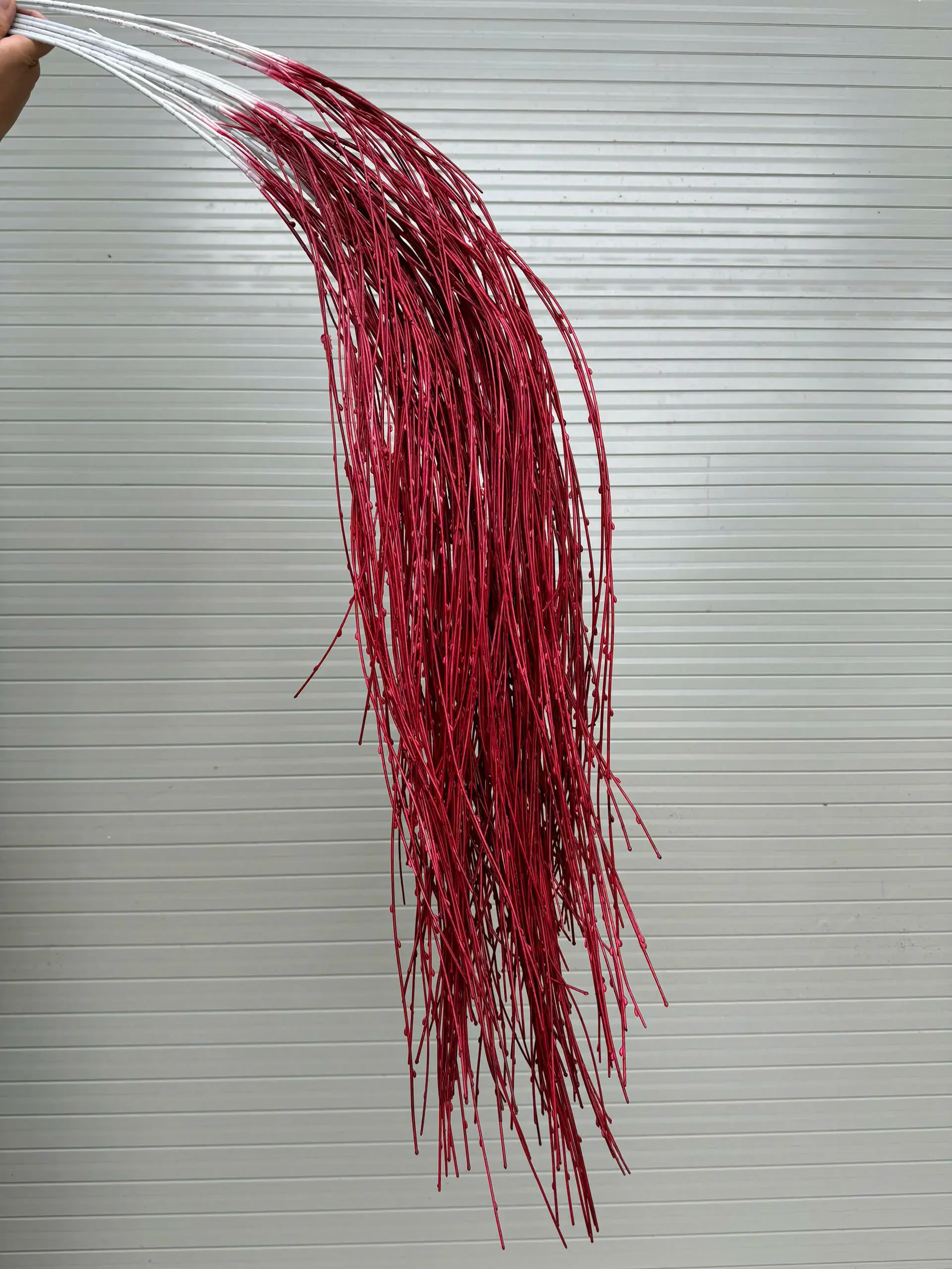 RỦ NẾN - Ảnh 3