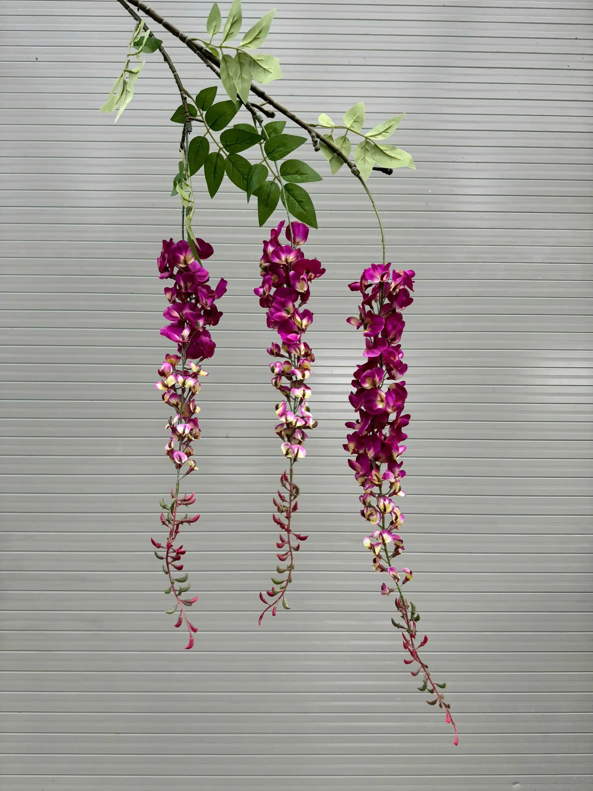 RỦ PHƯỢNG HOÀNG - Ảnh 5