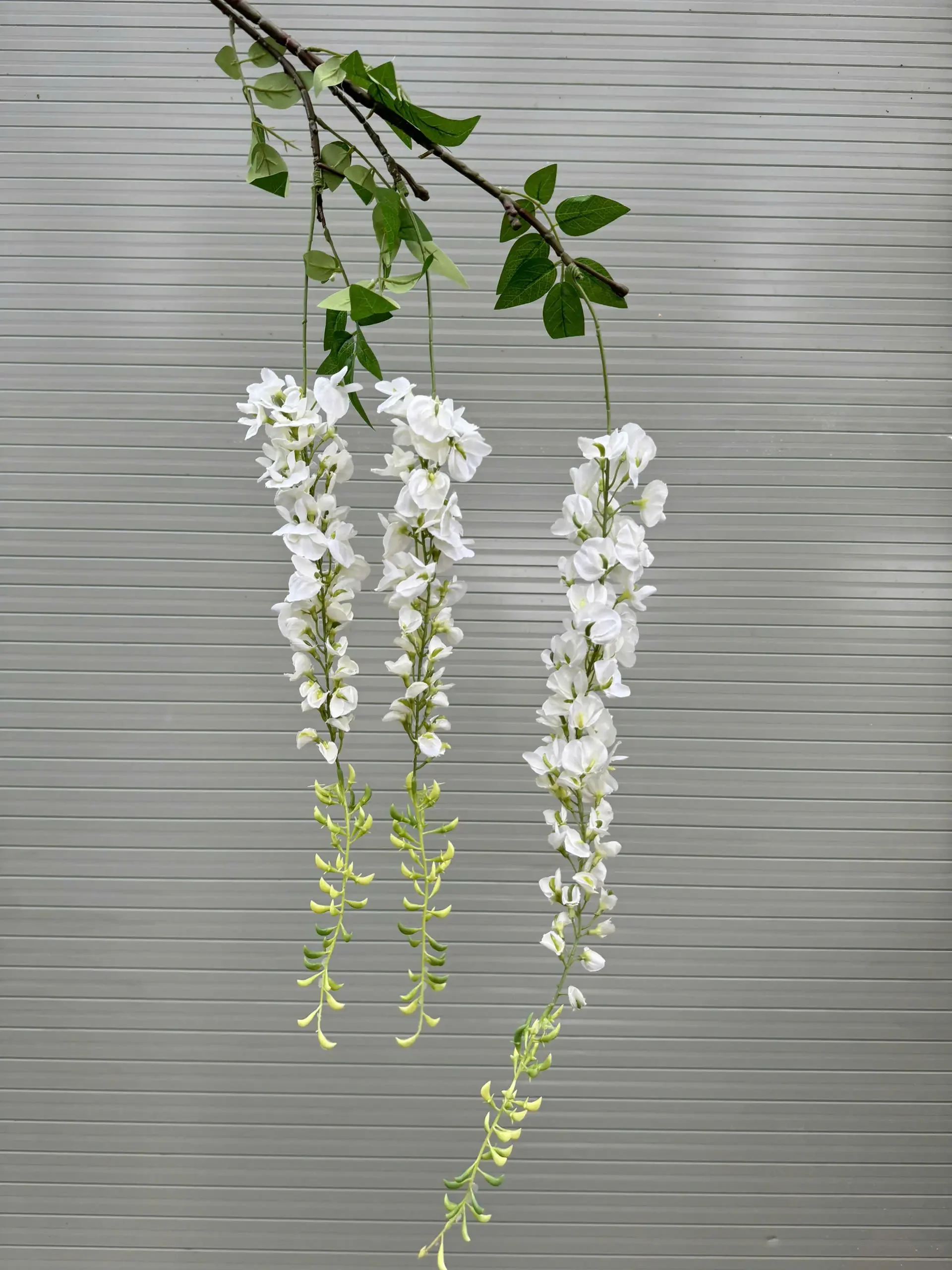 RỦ PHƯỢNG HOÀNG - Ảnh 4