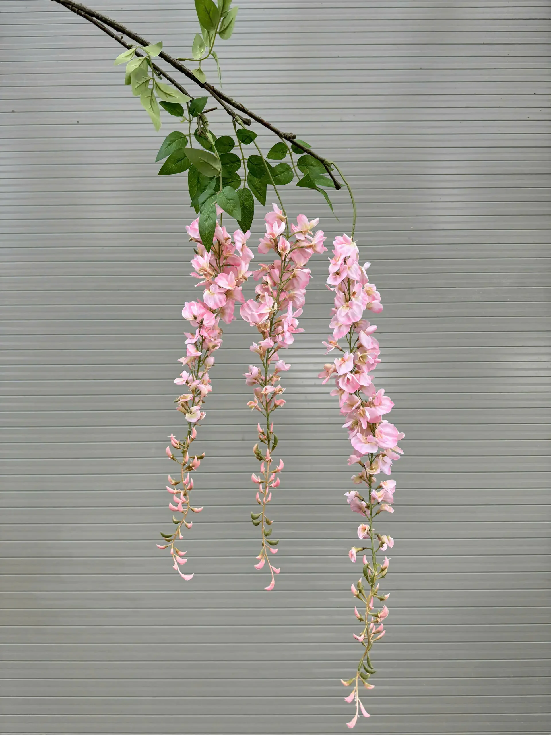 RỦ PHƯỢNG HOÀNG - Ảnh 2