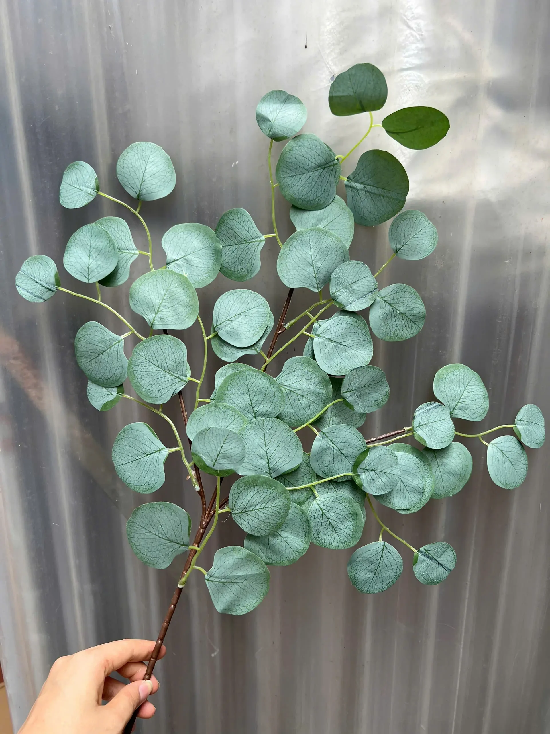 TAI VOI 3D - Ảnh 5