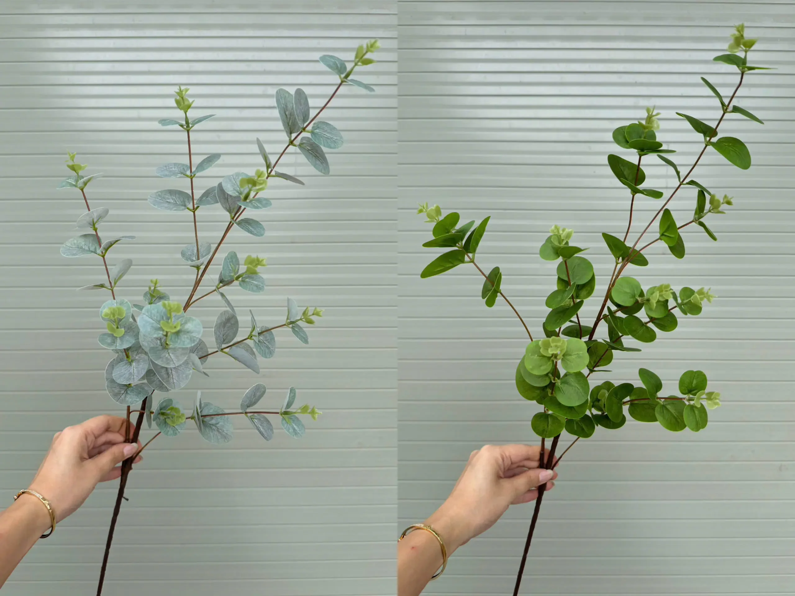 TÁO 3D 10 NHÁNH - Ảnh 5