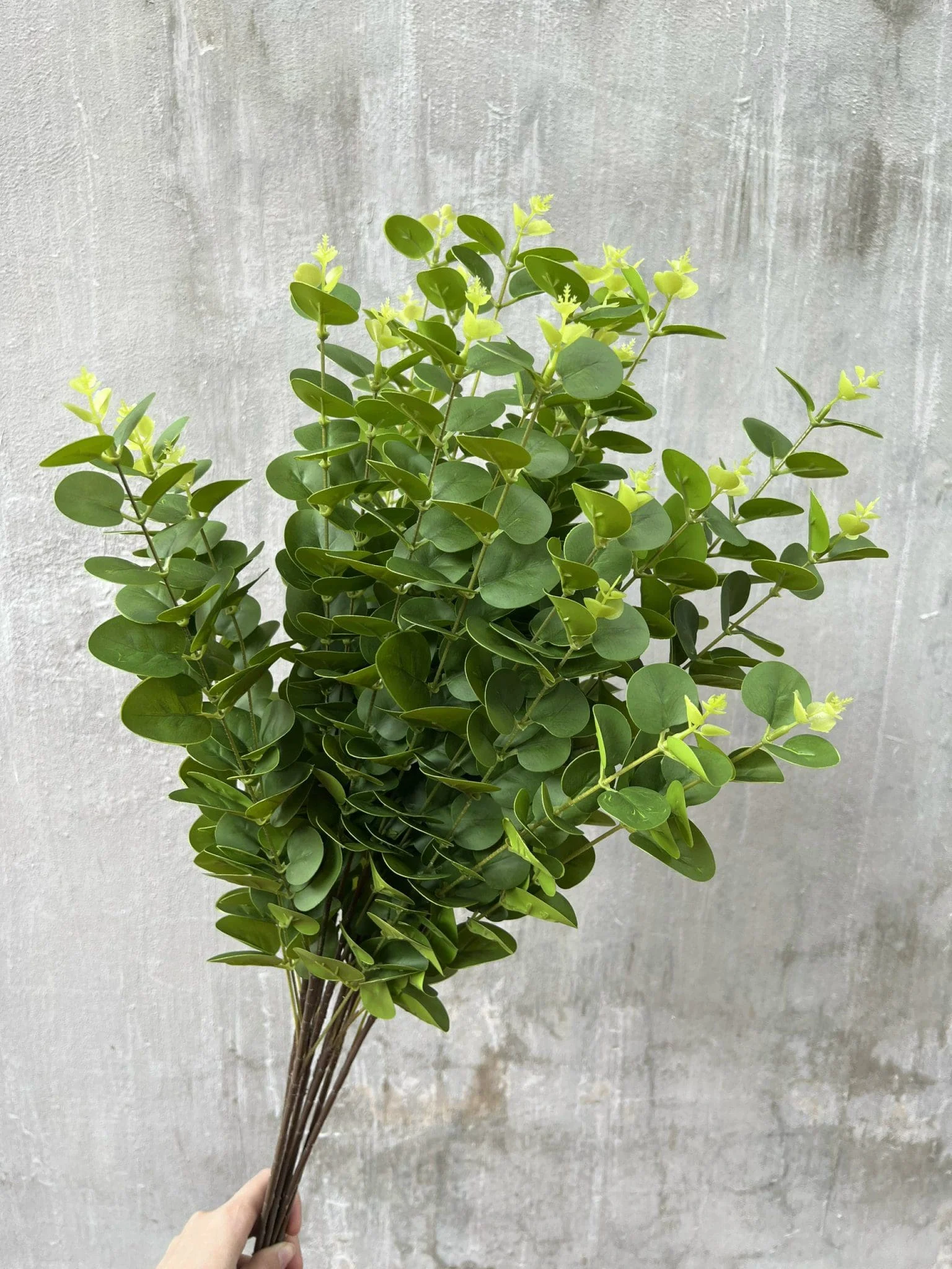 TÁO 3D - Ảnh 4