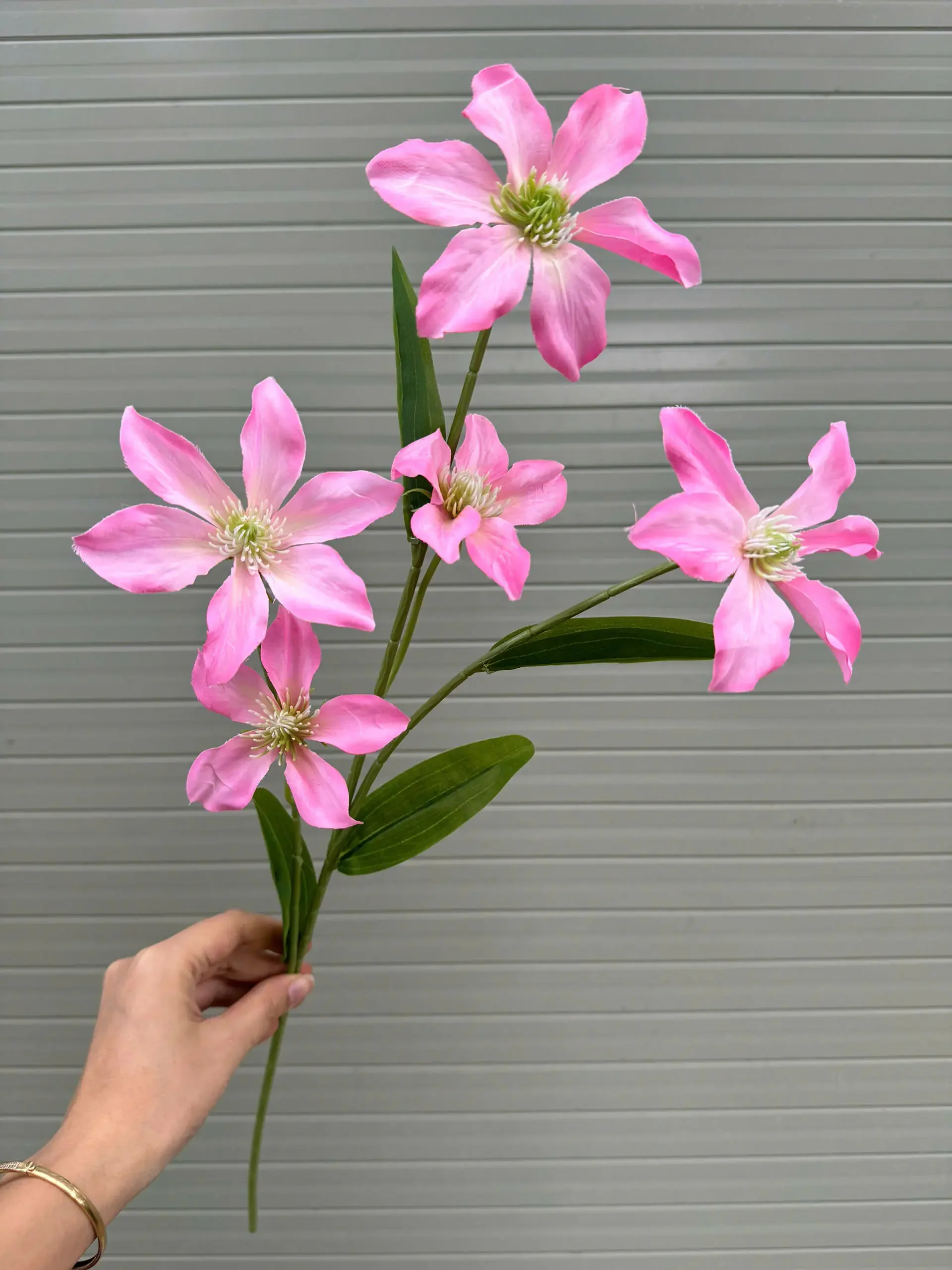 THUỶ TIÊN IN 3D - Ảnh 5