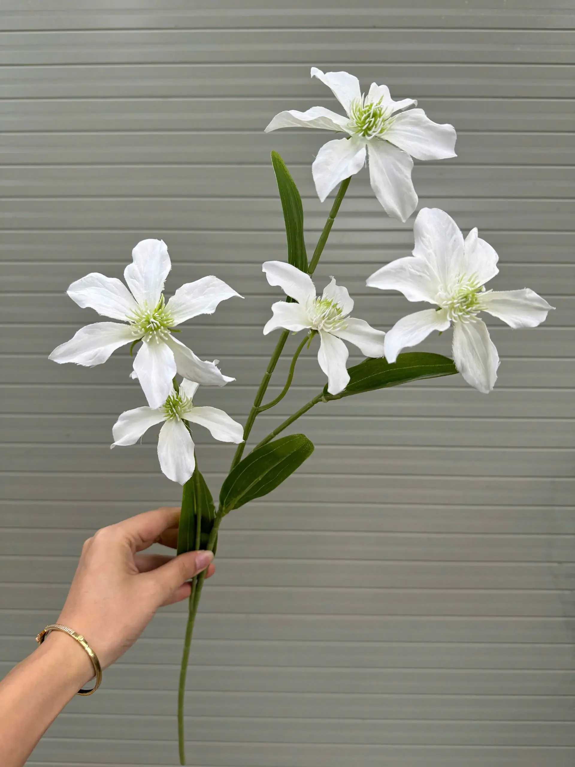 THUỶ TIÊN IN 3D - Ảnh 2