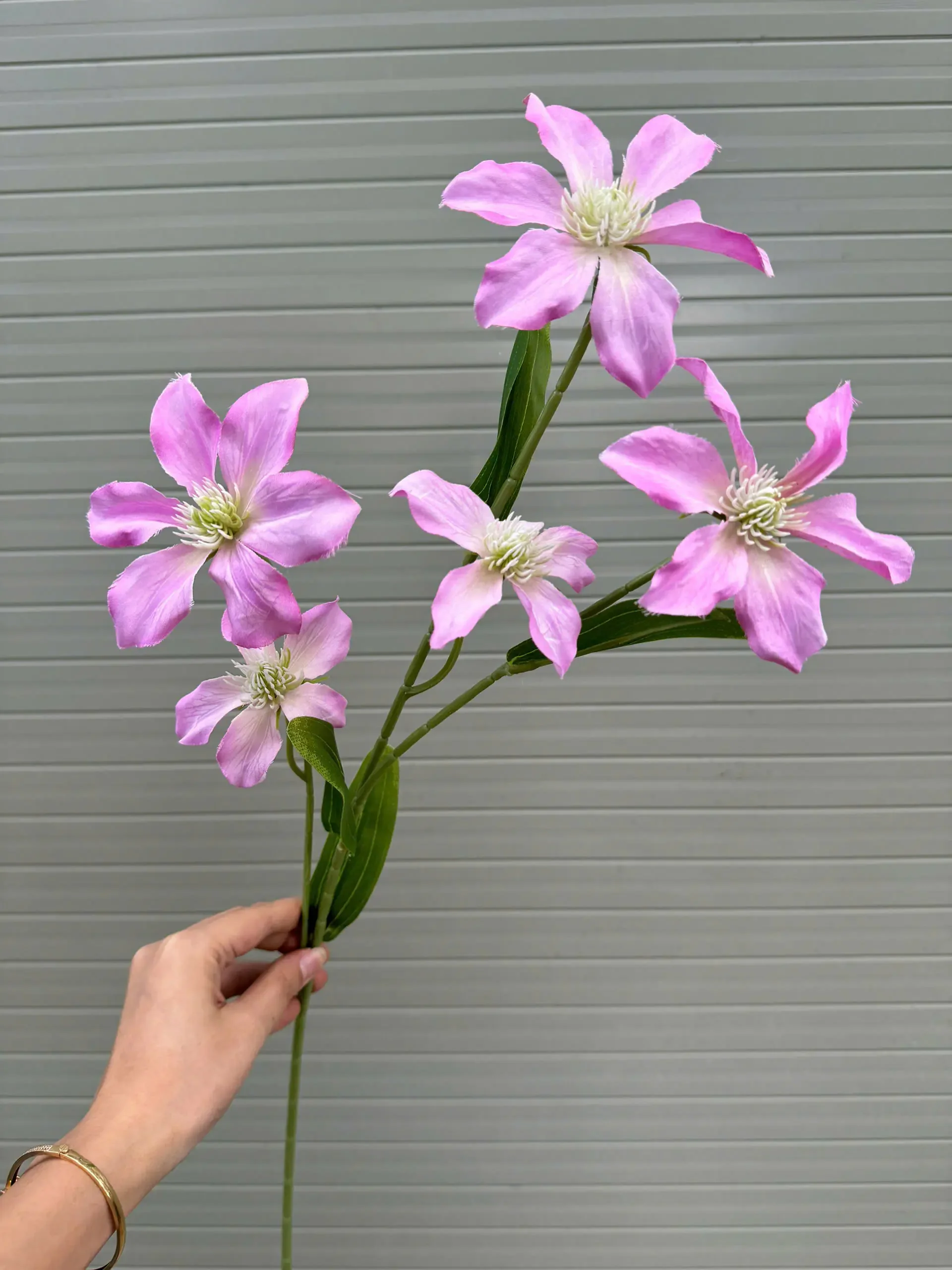THUỶ TIÊN IN 3D - Ảnh 12