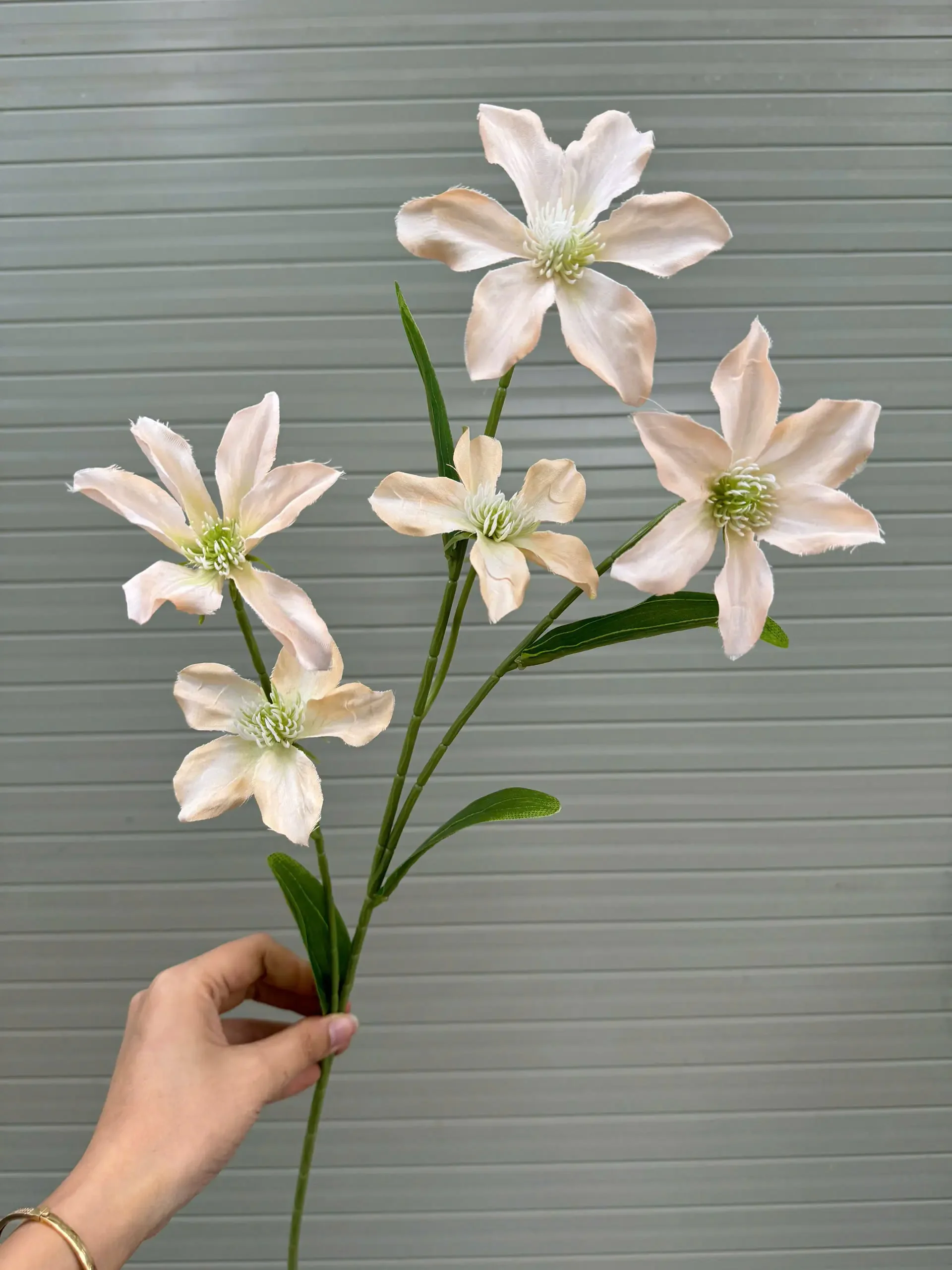 THUỶ TIÊN IN 3D - Ảnh 10