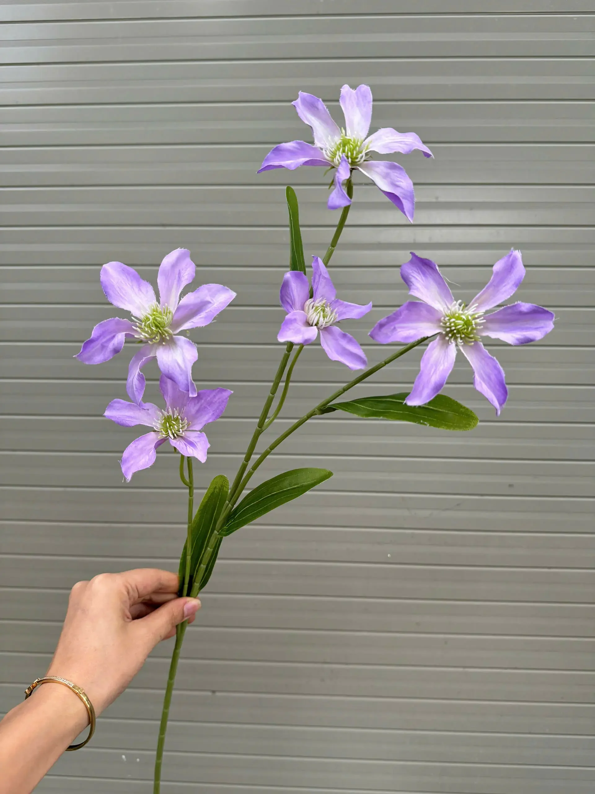 THUỶ TIÊN IN 3D - Ảnh 6