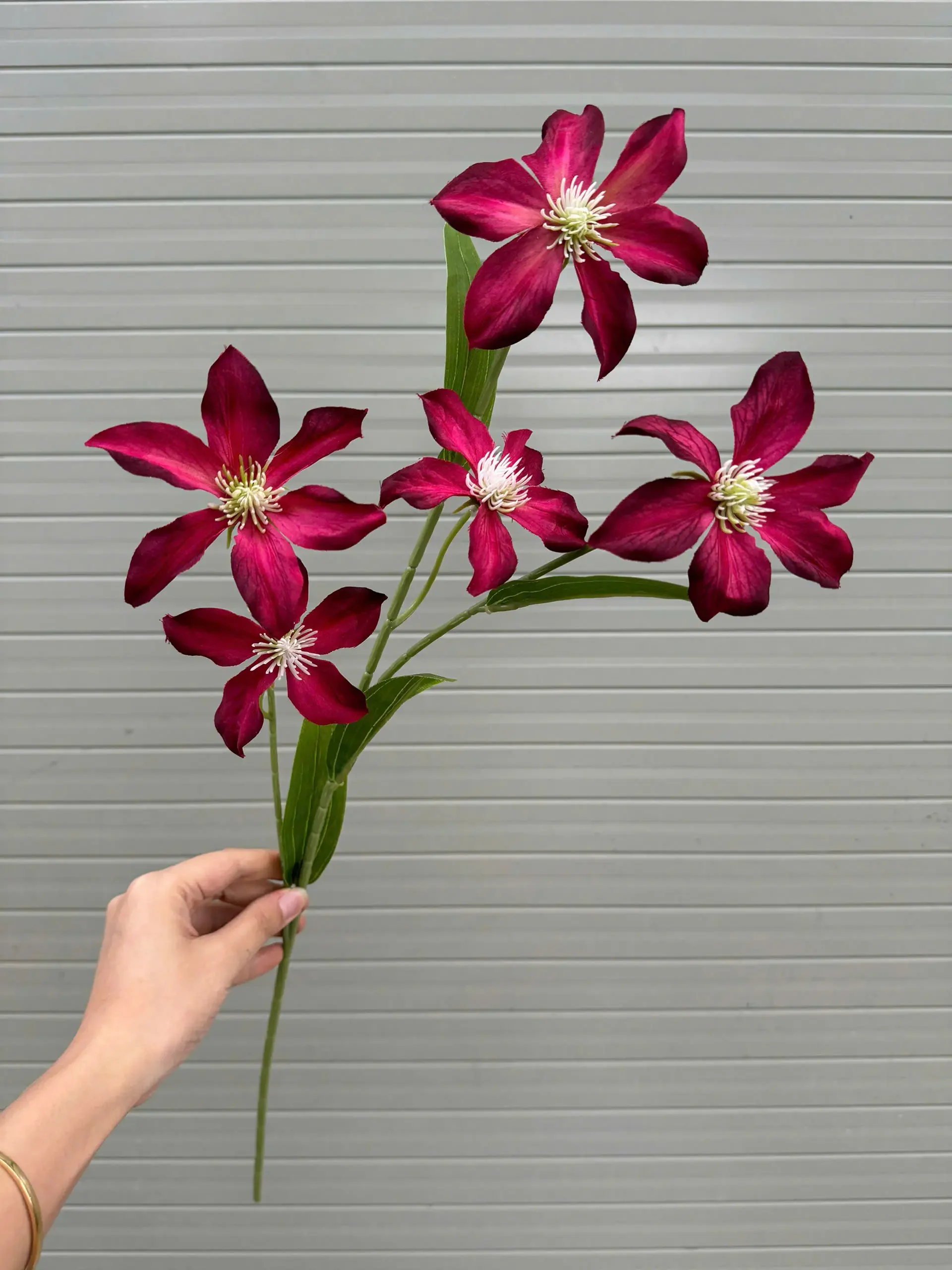 THUỶ TIÊN IN 3D - Ảnh 8