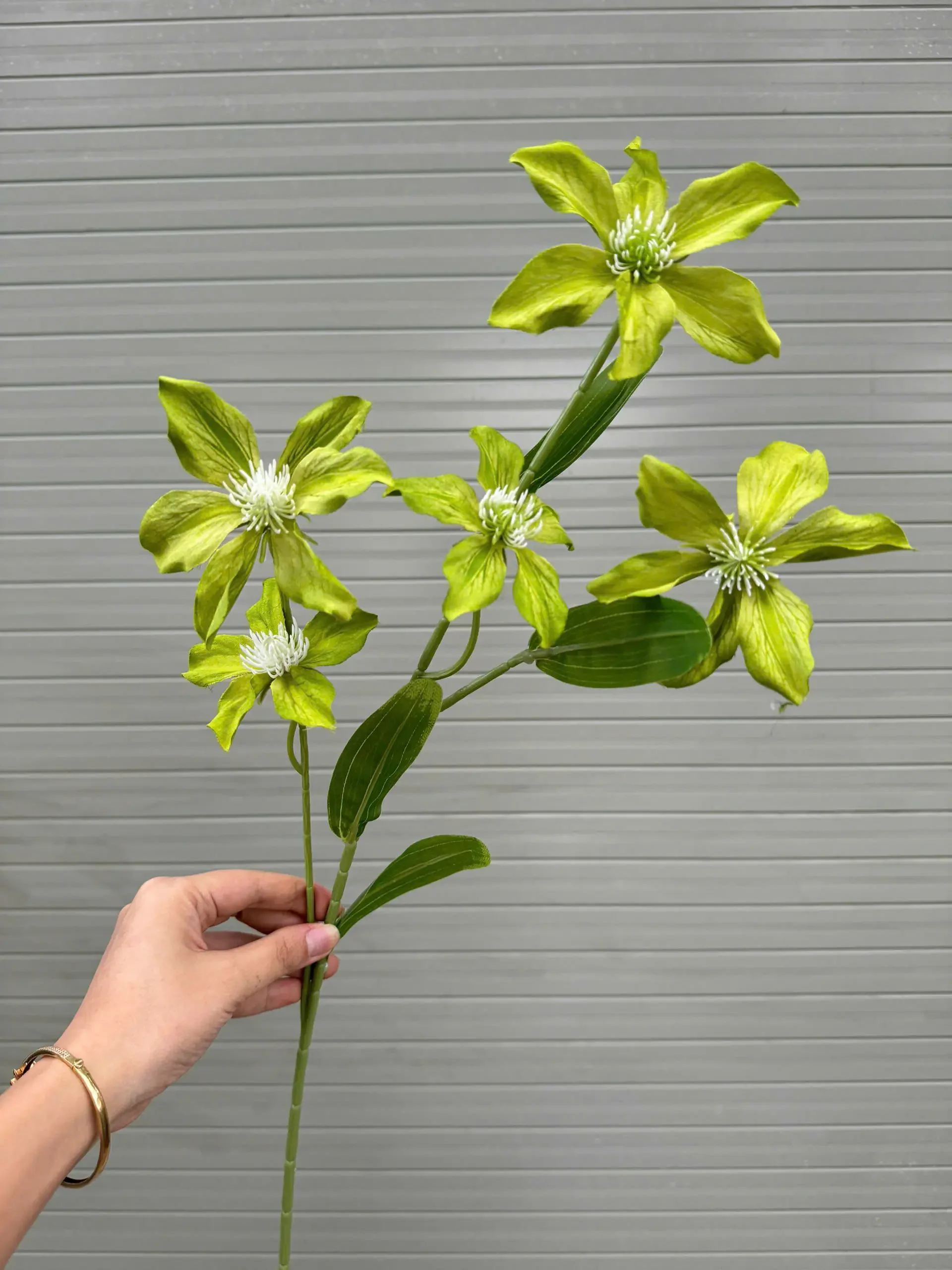 THUỶ TIÊN IN 3D - Ảnh 4