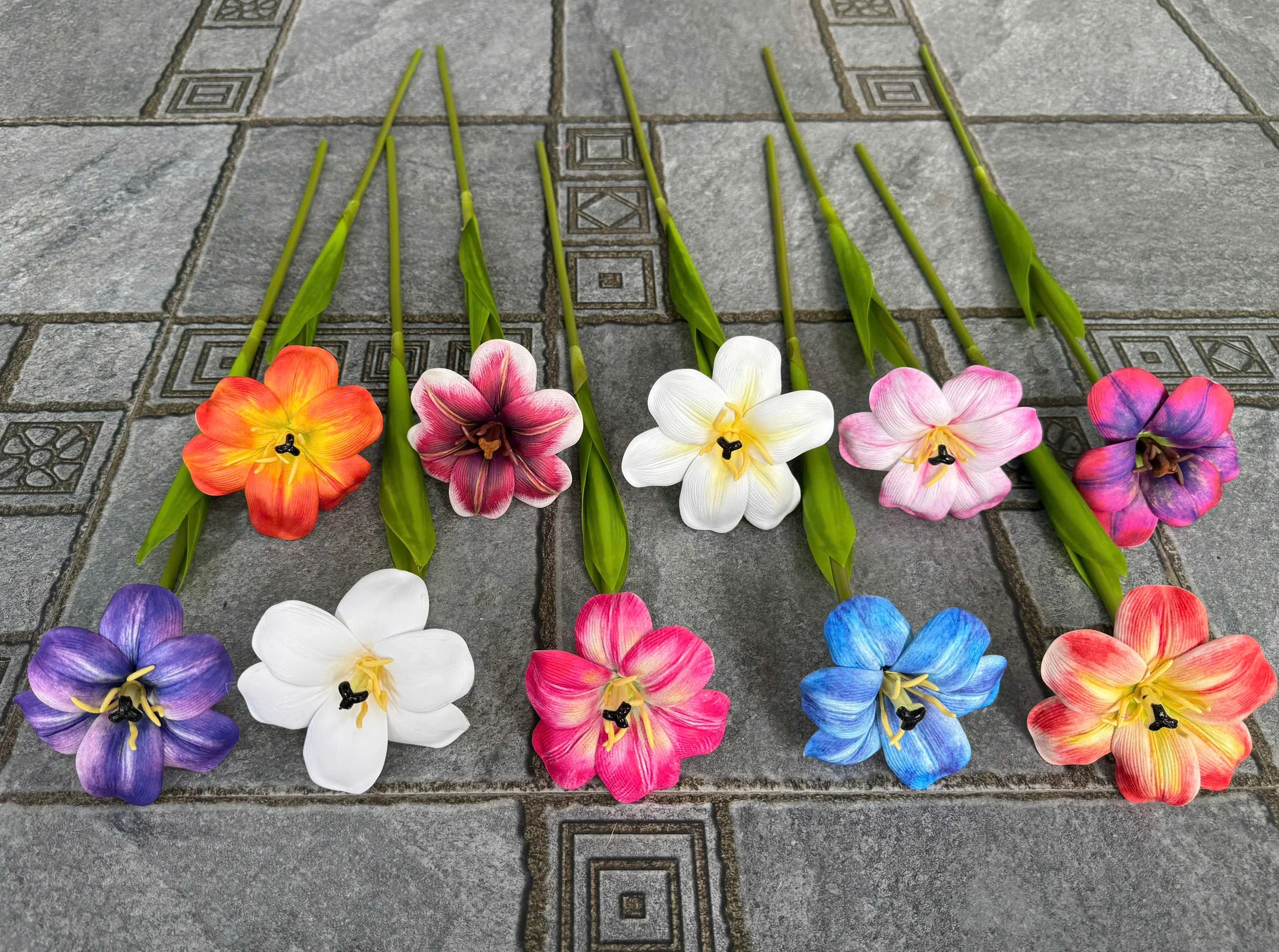 TULIP NỞ 1 BÔNG