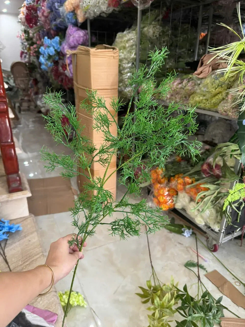 TÙNG NHO VN