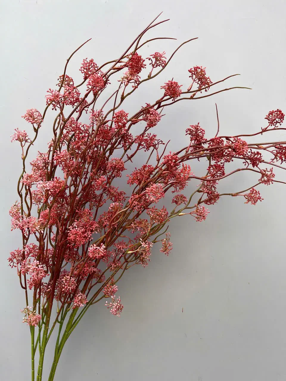 TUYẾT MAI NỤ - Ảnh 9