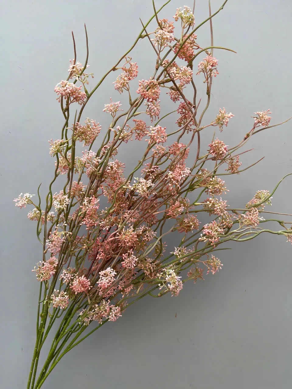 TUYẾT MAI NỤ - Ảnh 4