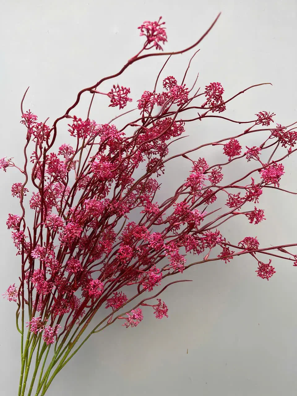 TUYẾT MAI NỤ - Ảnh 12